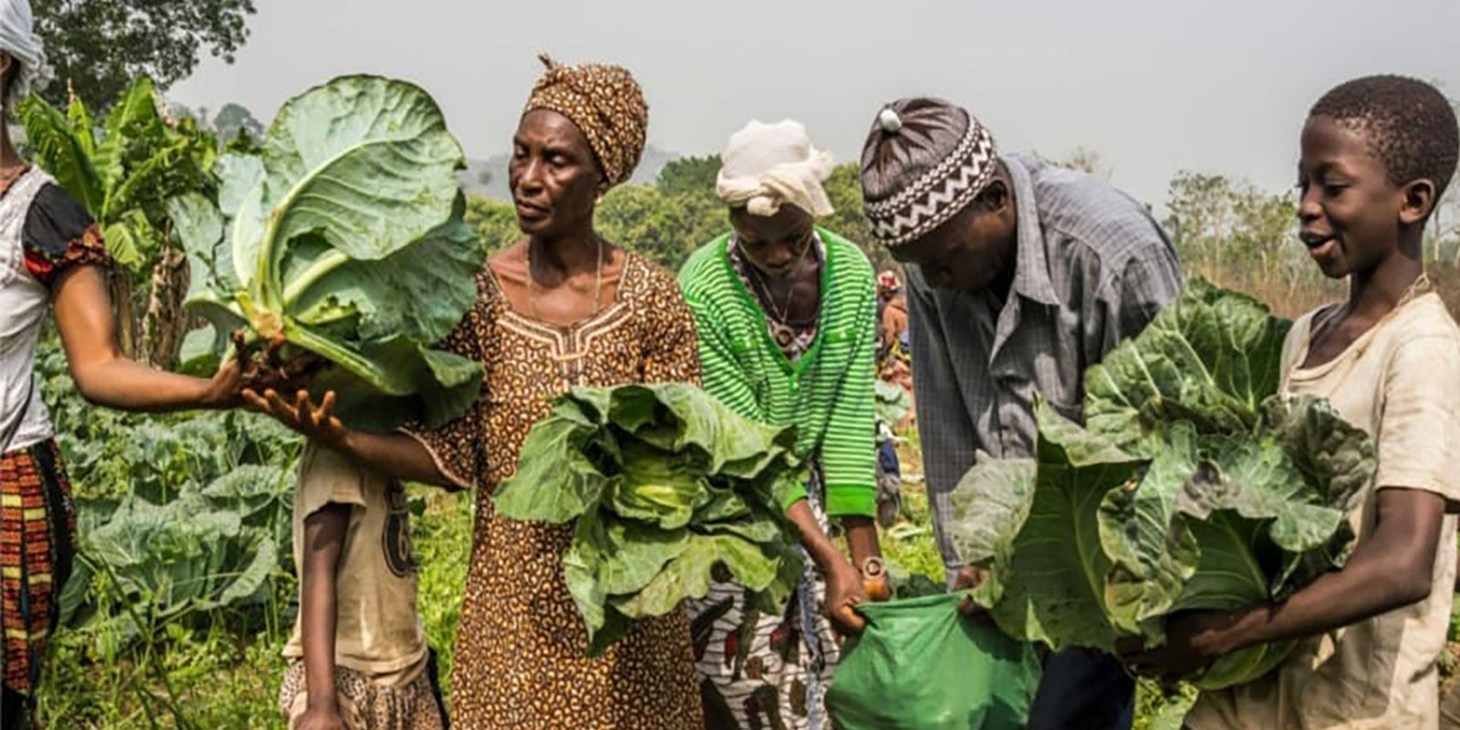 food security